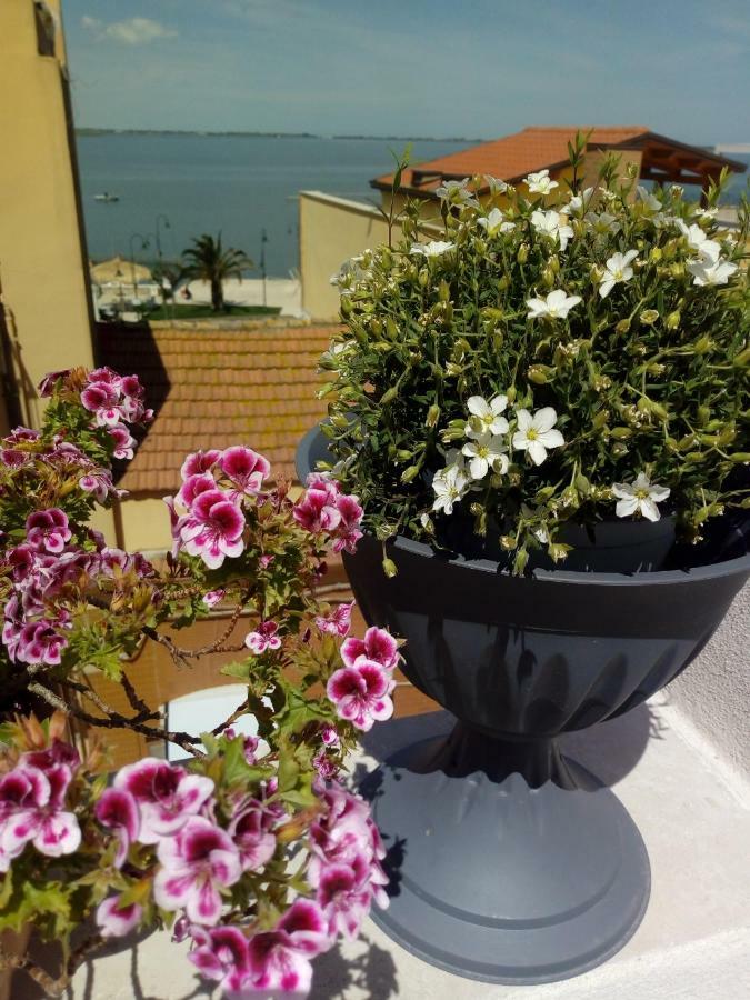 B&B La Felicita Lesina Zewnętrze zdjęcie